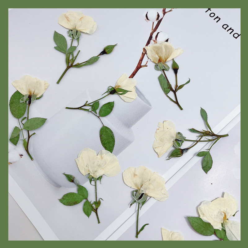 12pcs, Nature White Pink Red R - Wedding Card Box review and price