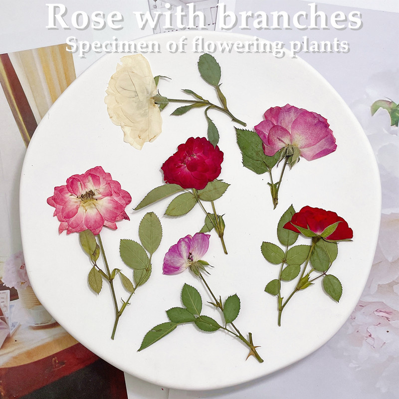 12pcs, Nature White Pink Red R - Wedding Card Box review and price